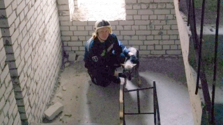 Школьники пытались выловить собаку на недострое по Политехнической