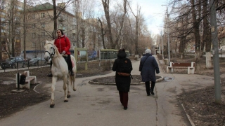 В первый день весны подует западный ветер