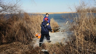 Спасатели достали из воды четвертого утопленника за сутки