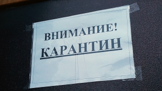 Школы Энгельсского района вновь уходят на карантин