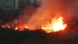 Возгорания сухой травы в черте Саратова напугали горожан