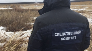 Под Саратовом нашли останки пропавшей 3,5 года назад женщины