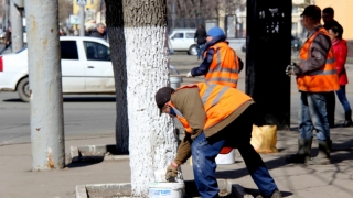 Мэрия Саратова рекомендует горожанам не ходить на субботники