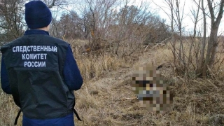 Двое рыбаков нашли мумифицированные останки неизвестного мужчины