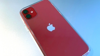 Жительница Саратова не смогла купить iPhone 11 задешево и на фальшивом сайте