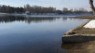 В Балакове нашли тело пропавшей два месяца назад пожилой женщины