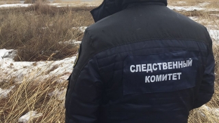 В Затоне дачник нашел человеческие кости