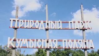 Коронавирус, мыши и яд. Саратовцам не рекомендуют посещать Кумысную поляну