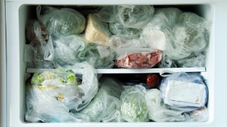 Россияне начали скупать морозильные камеры для запаса продуктов