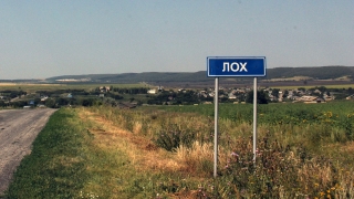 Лох попал под карантин из-за бешеной лисы, Сокур – из-за кота