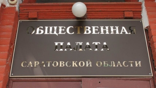 Коронавирус. Общественная палата области открыла горячую линию