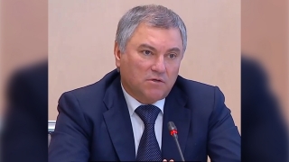 Вячеслав Володин: "Идущие по вызовам врачи поликлиник должны быть защищены"