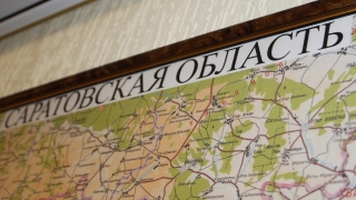 Эксперты оценили "вирусный суверенитет" региона как средний