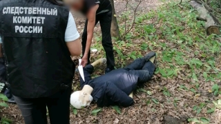 Саратовец убил брата грибным ножом и пытался спрятать труп. Вынесен приговор