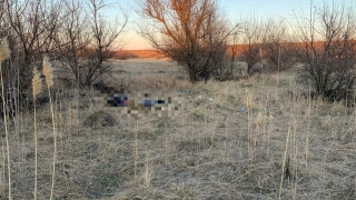 Во время поисков пропавшего человека полицейские нашли труп