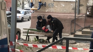 Покусавшая полицейских "собачница" стала фигуранткой уголовного дела