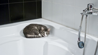 На двух улицах Кировского района из-за ремонтных работ отключили воду