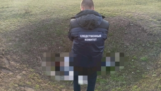 В овраге нашли тело пропавшего в ноябре 83-летнего саратовца