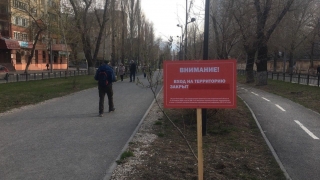 Опрос "Взгляда": больше половины ответивших находятся на самоизоляции