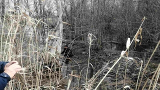 Гибель на рыбалке. Два саратовца почти сутки ждали спасения на дереве