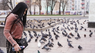 Ученые указали на риск распространения COVID-19 птицами