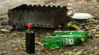 Противопожарный режим в лесах нарушали 34 саратовца