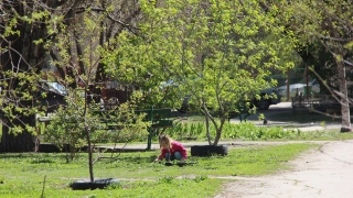 Саратовцев на Первомай ждет +22° и южный ветер