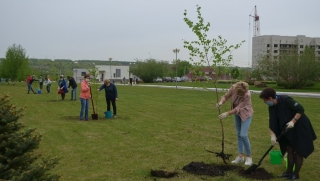 Сотрудники перинатального центра открыли "Аллею 75-летия Победы"