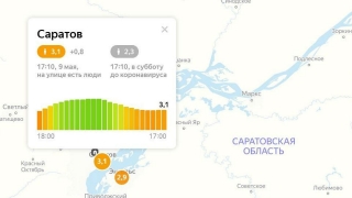 Индекс самоизоляции. Дождь остановил не всех саратовцев