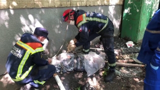 В пожаре на Астраханской погибла женщина
