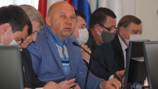 Депутаты гордумы призвали ввести мораторий на спил деревьев в Саратове