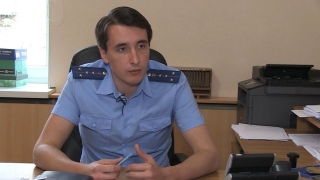 Вырубка деревьев. Прокуратура Саратова проконтролирует обещания Михаила Исаева