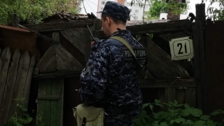 Росгвардейцы помогли семье и четырем собакам выбраться из горящего дома