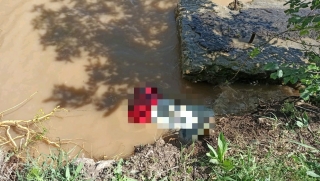 Саратовский водитель случайно нашел труп в Волге
