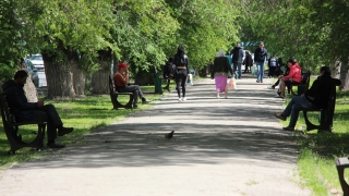 Был в "Орфее", употреблял в парке, работала без пропуска в "Главпиве". 53 новых штрафа
