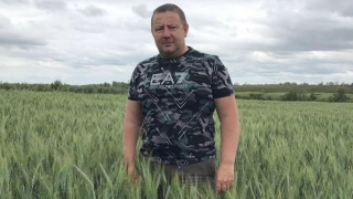 В Саратове по подозрению в получении взяток задержан экс-директор НИИ