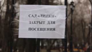 Роспотребнадзор: "Открытие саратовских парков пока нецелесообразно"