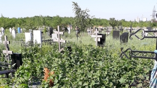 Коронакризис. Жители Энгельса жалуются на заросшее "травой по пояс" кладбище