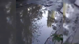 "Не видно дна". Жительница Саратова посвятила стихи огромной луже
