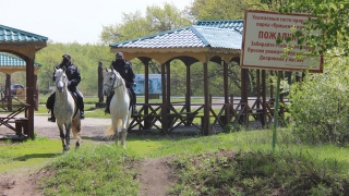 Зашли в "Модницу" без масок, отдыхали на Кумысной поляне. Новые штрафы и закрытие парикмахерской