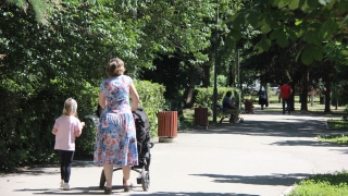 В Саратовской области клещи покусали 230 взрослых и 148 детей