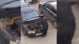 Полицейские раскололи "дуэт" саратовских автоворов. Видео