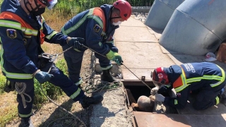Спасатели помогли саратовцу вылезти из колодца