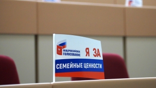 Поправки в Конституцию. Флажки признаны агитацией и удалены со столов депутатов