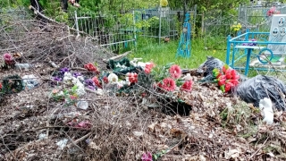 Жители Ртищева просят главу района убрать мусор на кладбище