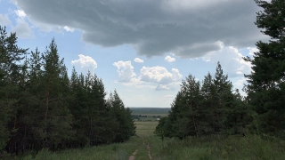 В Саратовской области опять потеплеет до +36°