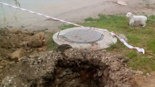 В Марксе из коммунальной ямы спасли собаку