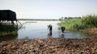 В районе дач Урицкого из Волги достали тело рыбака