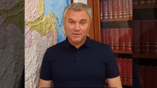 Вячеслав Володин напомнил Валерию Радаеву о проекте сквера Петра I