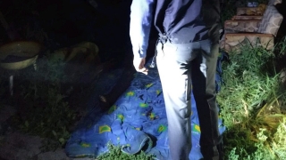 В сгоревшем доме рядом с креслом найдено тело хозяина